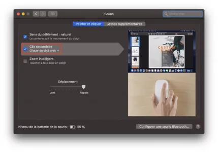 Capture-000.webp Capture-000.webp
