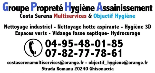 1597828310989.webp