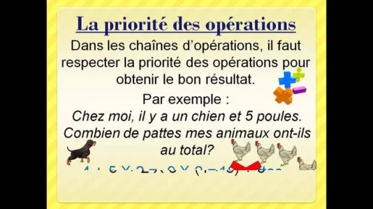 1597841005019.webp