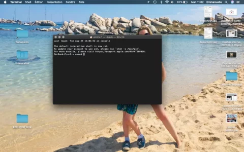 terminal.webp terminal.webp