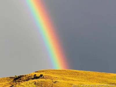 arc-en-ciel.webp