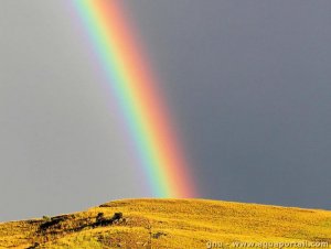 arc-en-ciel.jpg