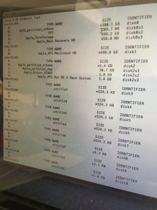 diskutil list.jpg