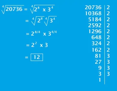 1598967630758.webp