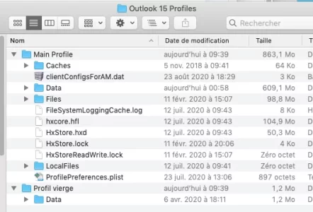 Capture d’écran.png