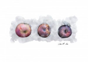 Pommes 202008.jpg