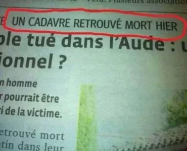 twitter_EiWR0KFXkAA4bju.webp twitter_EiWR0KFXkAA4bju.webp