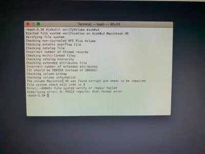 120721820_376009940235014_3123419330003324189_n.webp