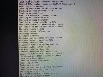 120704144_255913202405284_3385718107065578794_n.webp