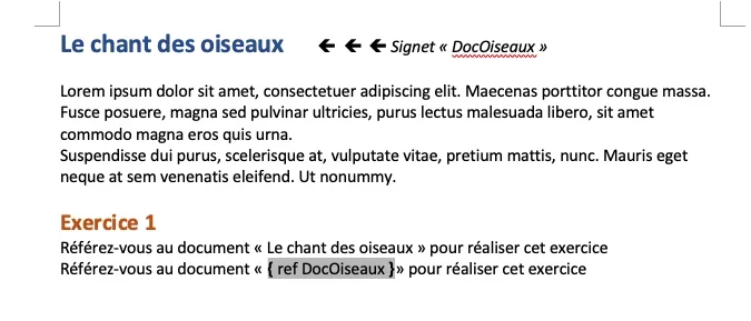 Capture d’écran.webp