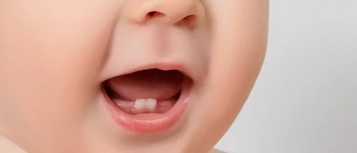 BabyTeeth.webp