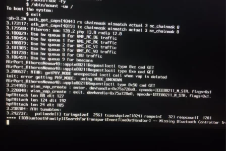 Capture.webp