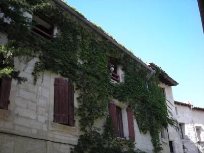 DSCN2294.webp