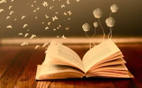 livrelecteurs.webp