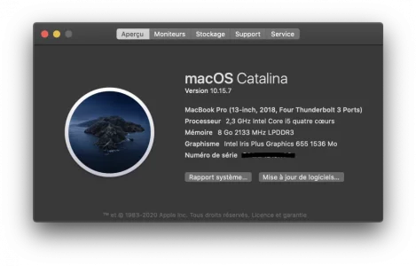 Capture d’écran 2020-11-12 à 17.58.34.webp