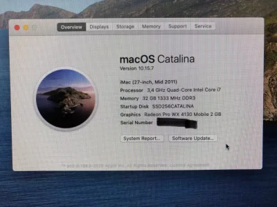 80 About Catalina.webp