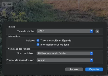 1605375405197.webp 1605375405197.webp