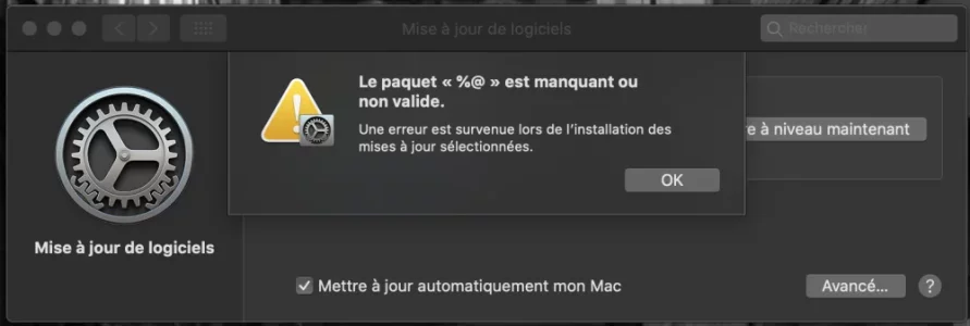 Capture d’écran 2020-11-14 à 20.46.19.png