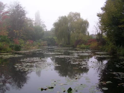 DSCN4702.webp