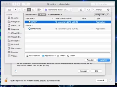 Mamp2.webp