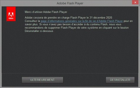 Adobe Flash Player.jpg