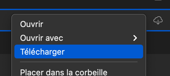 Capture d’écran 2020-11-21 à 12.32.05.png