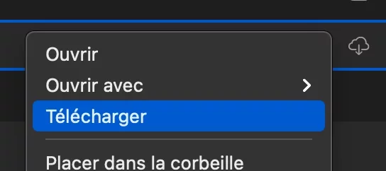 Capture d’écran 2020-11-21 à 12.32.05.webp