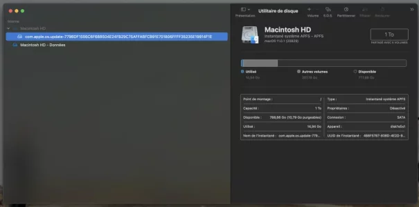 Capture 1.webp