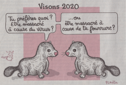 Capture d’écran 2020-11-24 à 17.01.05.png