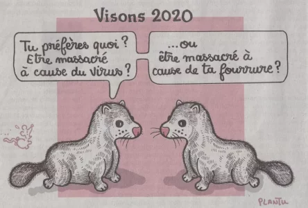 Capture d’écran 2020-11-24 à 17.01.05.webp