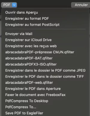 Capture d’écran 2020-11-26 à 10.06.13.webp