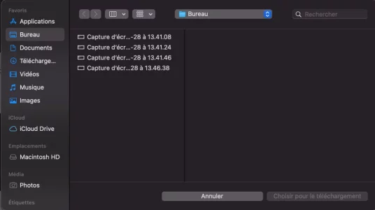 Capture d’écran, le 2020-11-28 à 13.47.05.png Capture d’écran, le 2020-11-28 à 13.47.05.png