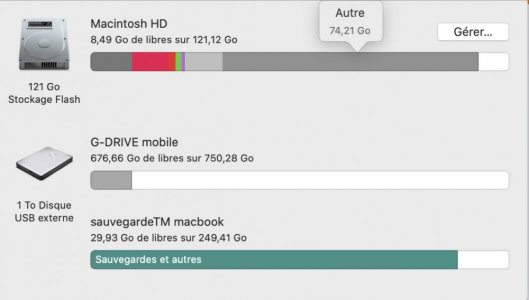 Capture d’écran 2020-11-27 à 23.33.01.jpg