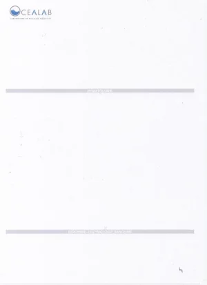 impression pdf.webp