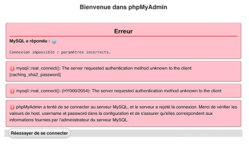 Capture d’écran 2020-12-04 à 22.10.56.png