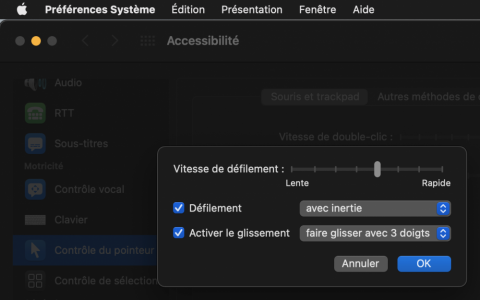 Capture d’écran 2020-12-06 à 11.07.47.png