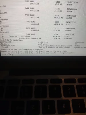 16073801543997769405791648980706.webp