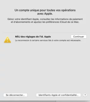 Capture d’écran 2020-12-08 à 22.21.59.webp Capture d’écran 2020-12-08 à 22.21.59.webp
