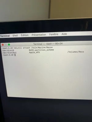 image.webp image.webp