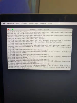 image.webp image.webp