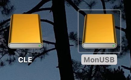 Capture d’écran 2020-12-10 à 12.13.58.webp