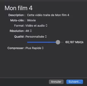 Capture d’écran 2020-12-12 à 14.28.57.webp