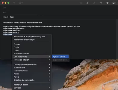 Capture-011.webp Capture-011.webp