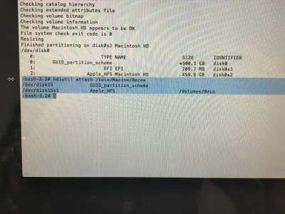 bug mac 12.webp