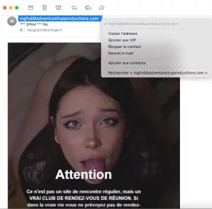 Capture d’écran 2020-12-19 à 09.33.14.webp