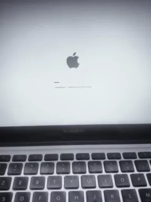 1.jpeg 1.jpeg