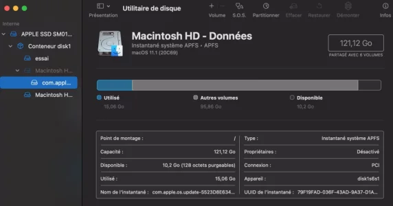 Capture d’écran 2020-12-21 à 15.51.47.webp