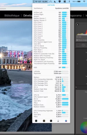 Capture d’écran 2020-12-24 à 13.06.34.webp
