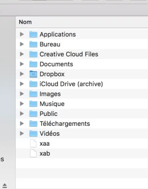 Capture d’écran 2020-12-24 à 21.10.55.webp