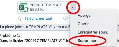 Capture d’écran 3.webp